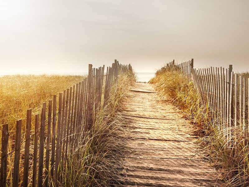 robinie_beach2